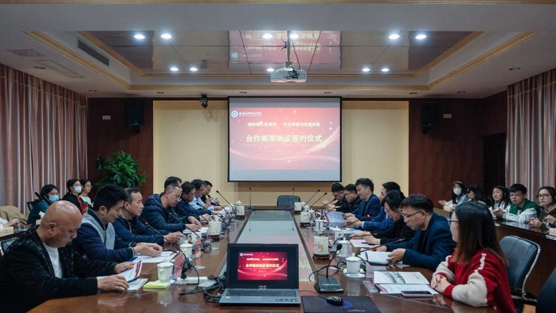 三维动画材质参数设置：标准揭秘与实战技巧